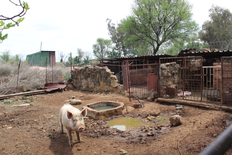 2 Bedroom Property for Sale in Vaal Power A H Free State
